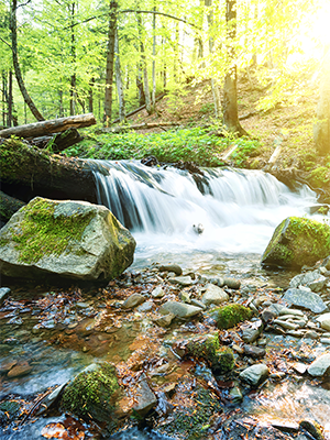 waterfall-vertical-web