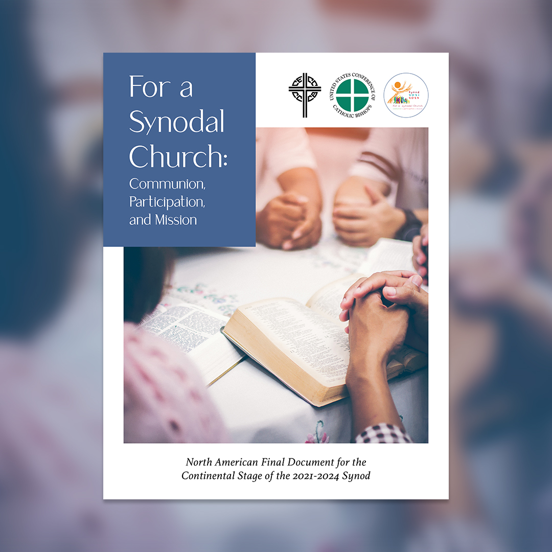 Synod Continental Document Social-Graphic