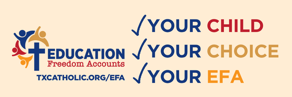 EFA_WebBanner_3YourChoice